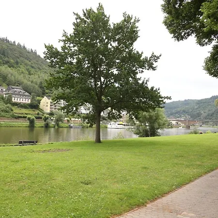 Pensionat Moselvilla 1900 Cochem